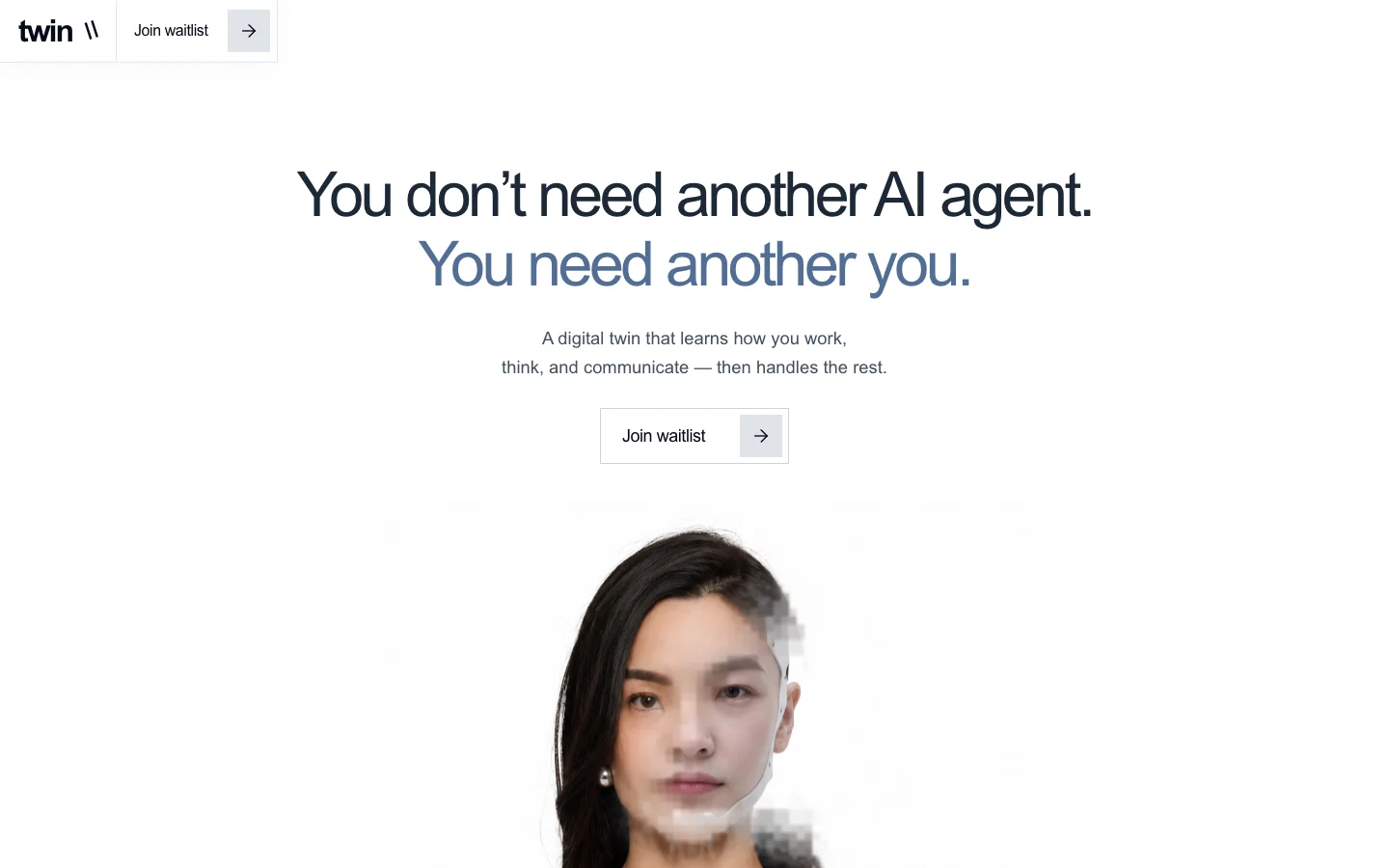 Twin website preview