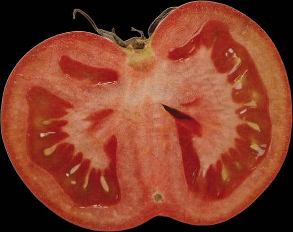 A cut tomato with rich red flesh