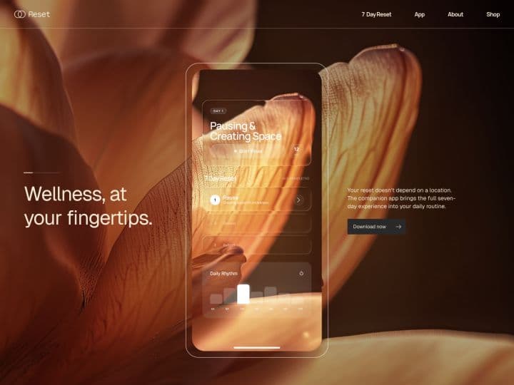 Reset — App page preview