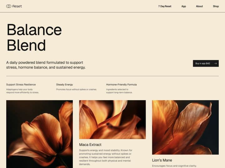 Reset — Balance Blend page preview