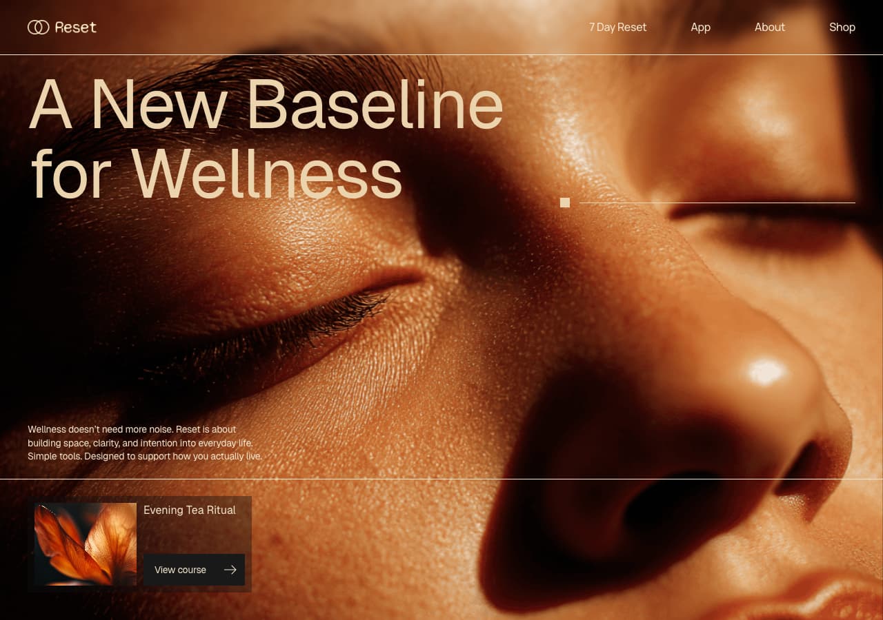 Reset — Homepage page preview